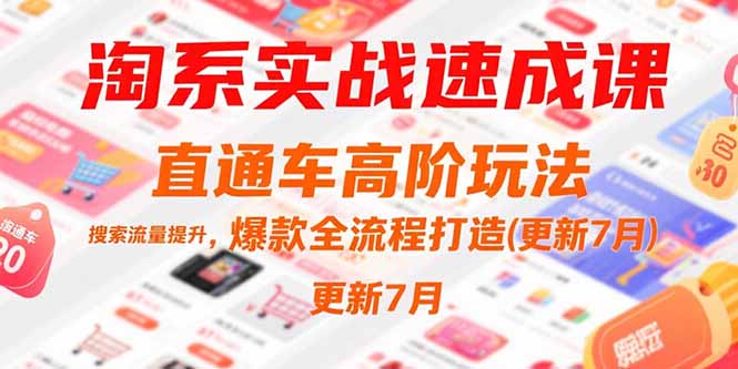[国内电商]（15374期）淘系实战速成课，直通车高阶玩法，搜索流量提升，爆款全流程打造(更新7月)-第1张图片-智慧创业网