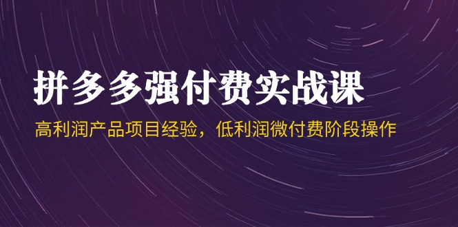 [国内电商]（14874期）拼多多强付费实战课-44期，高利润产品项目经验，低利润微付费阶段操作