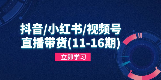 [直播玩法]（14611期）抖音/小红书/视频号/直播带货(11-16期)，快速掌握平台规则，打造爆款内容