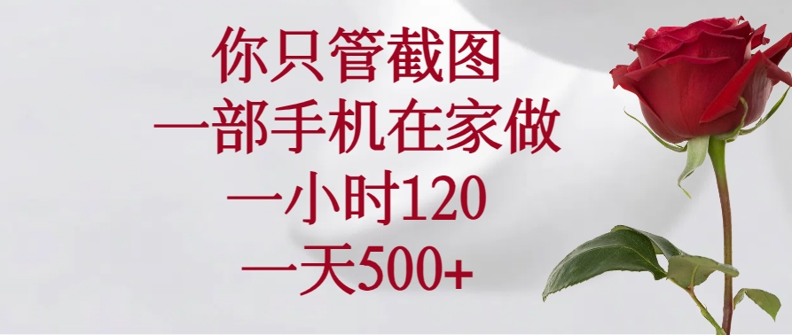 [虚拟项目]（14248期）你只管截图，一部手机在家做，一小时120，一天500+
