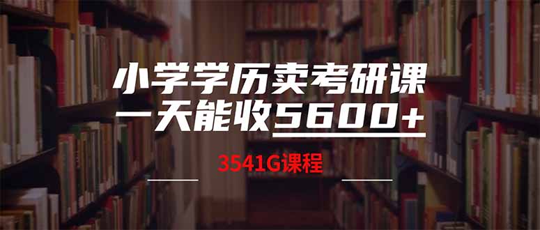 [虚拟项目]（14561期）小学学历卖考研课程，一天收5600（附3580G考研合集）