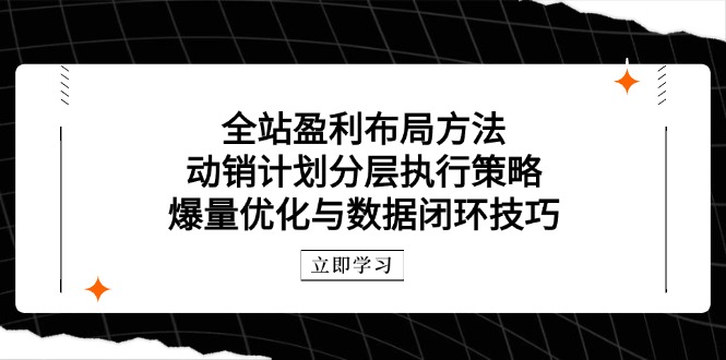 [国内电商]（14698期）全站盈利布局方法：动销计划分层执行策略，爆量优化与数据闭环技巧