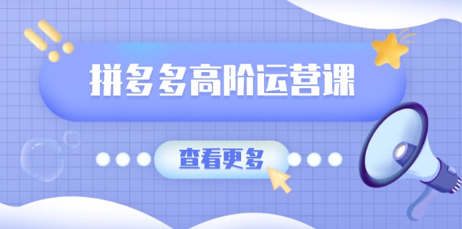 [国内电商]（14327期）拼多多高阶运营课：极致群爆款玩法，轻付费无尽复制，打造单品爆款之路