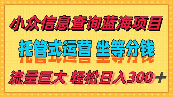 [热门给力项目]（15216期）稳定日入300＋，小众信息查询蓝海项目，全程懒人式托管，解放你的时间