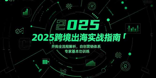[跨境电商]（15503期）2025跨境出海实战指南，并购全流程解析，自创营销体系，专家基本功训练