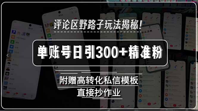 [引流-涨粉-软件]（15466期）评论区野路子玩法揭秘！单账号日引300+精准粉，附赠高转化私信模板，直...-第1张图片-智慧创业网