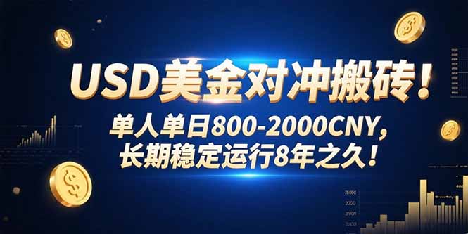 [虚拟项目]（15551期）USD美金对冲搬砖!单人单日800-2000CNY，长期稳定运行8年之久!