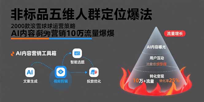 [国内电商]（15619期）非标品五维人群定位法，2000款滚雪球运营策略，AI内容营销10万流量引爆