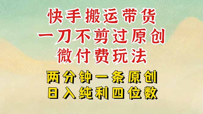 [虚拟项目]（15577期）快手黑科技搬运带货，一刀不剪过原创，微付费投流玩法，轻松日入四位数...