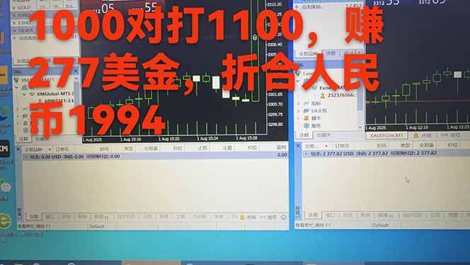 [虚拟项目]（15632期）稳定8年的美刀搬砖项目，单人每日收益800—3000.团队4人月入10W+.可线下-第6张图片-智慧创业网