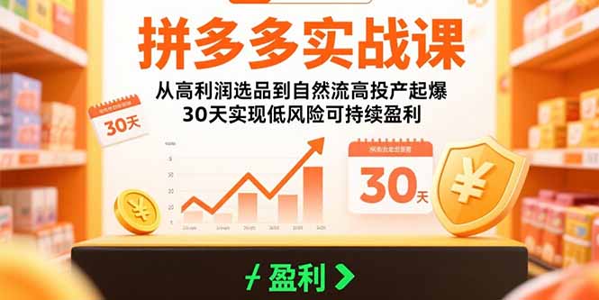 [国内电商]（15586期）拼多多实战课：从高利润选品到自然流高投产起爆 30天实现低风险可持续盈利