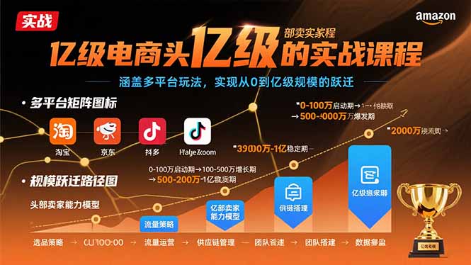 [国内电商]（15803期）亿级电商头部卖家的实战课程：涵盖多平台玩法，实现从0到亿级规模的跃迁