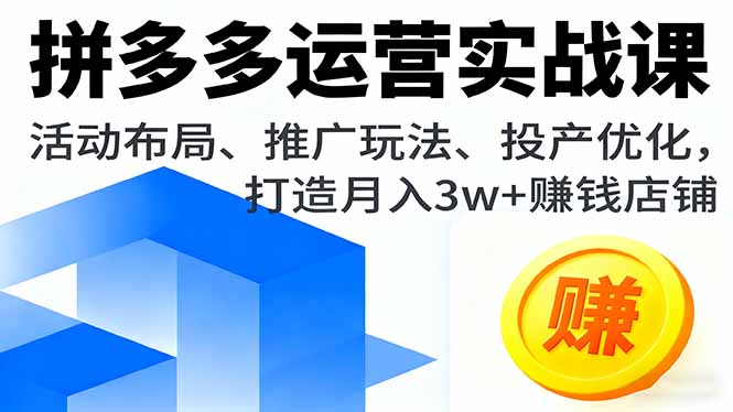 [国内电商]（16135期）拼多多运营实战课，活动布局、推广玩法、投产优化，打造月入3w+赚钱店铺-第1张图片-智慧创业网