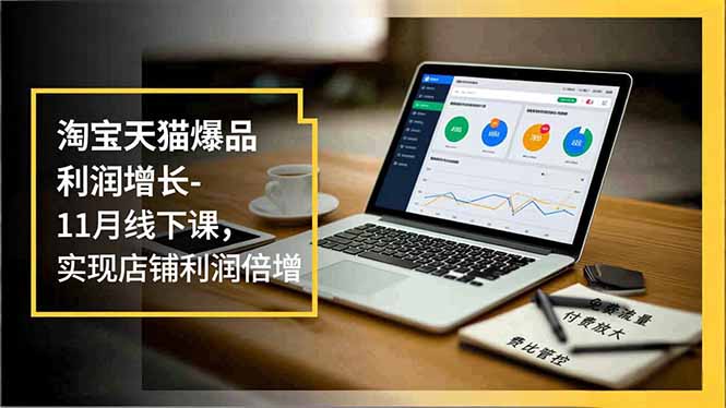 [国内电商]（16824期）淘宝天猫爆品利润增长-11月线下课，免费流量、付费放大、费比管控，实现店铺利润倍增