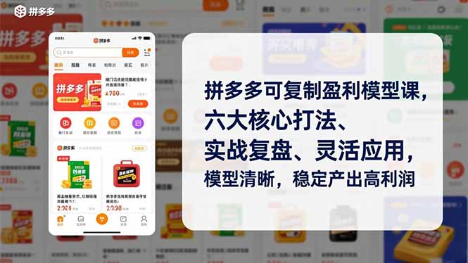 [国内电商]（16952期）拼多多可复制盈利模型课，六大核心打法、实战复盘、灵活应用，模型清晰，稳定产出高利润
