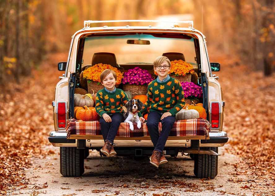 [美工-摄影-建站]（17403期）大师级GTG出品-老友记系列AI自适应预设The Friends Preset Collection-第2张图片-智慧创业网