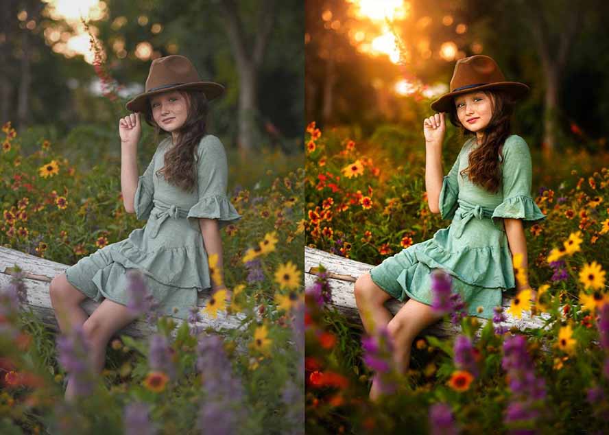 [美工-摄影-建站]（17403期）大师级GTG出品-老友记系列AI自适应预设The Friends Preset Collection-第11张图片-智慧创业网