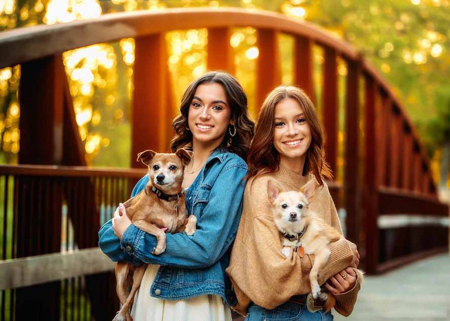 [美工-摄影-建站]（17403期）大师级GTG出品-老友记系列AI自适应预设The Friends Preset Collection-第4张图片-智慧创业网