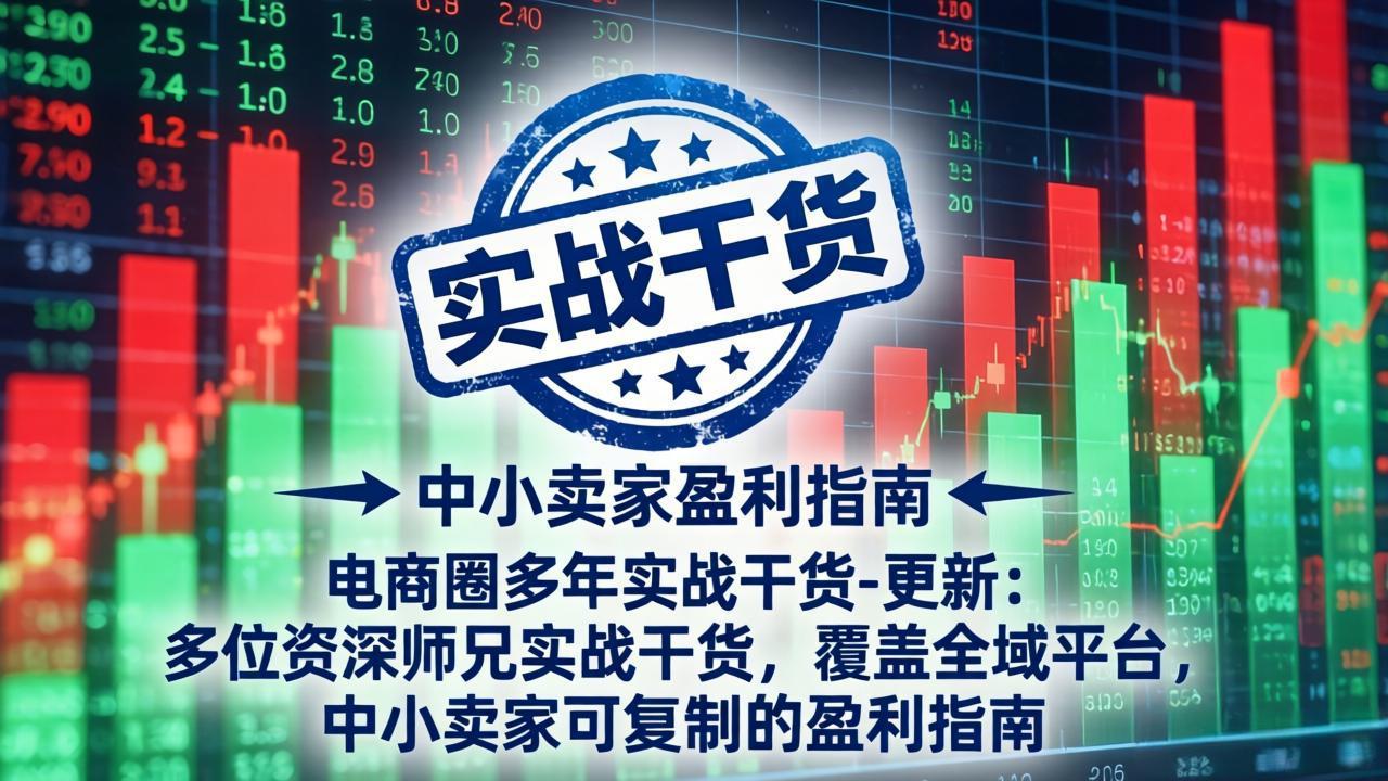 [国内电商]（19761期）电商圈多年实战干货-更新2026：多位资深师兄实战干货/覆盖全域平台，中小卖家可复制的盈利指南-第1张图片-智慧创业网