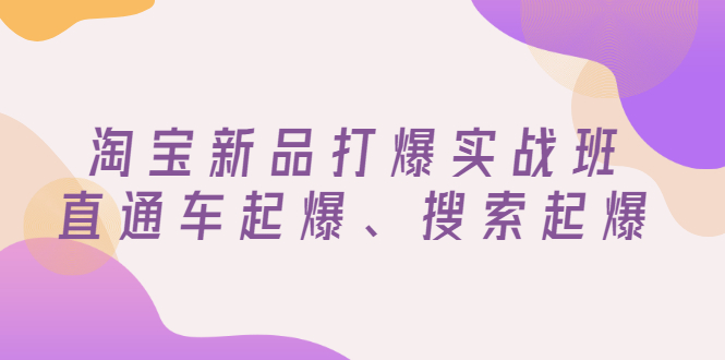 [国内电商]（2816期）淘宝新品打爆实战班，直通车起爆、搜索起爆（价值599元）-第1张图片-智慧创业网