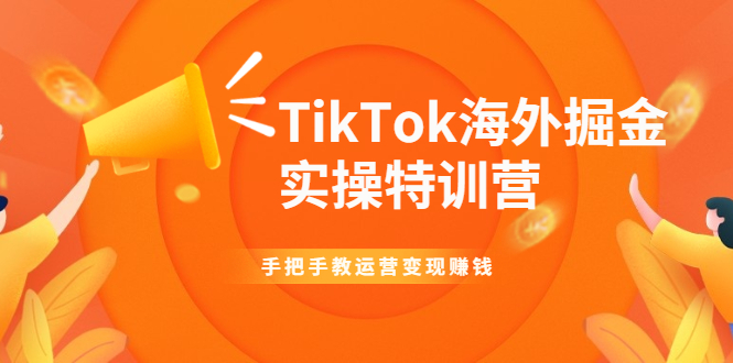 [国外项目]（1942期）TikTok海外掘金实操特训营：手把手教运营变现赚钱【视频课程】