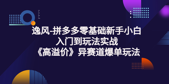 [国内电商]（3435期）逸风-拼多多零基础新手小白入门到玩法实战《高溢价》异赛道爆单玩法实操课
