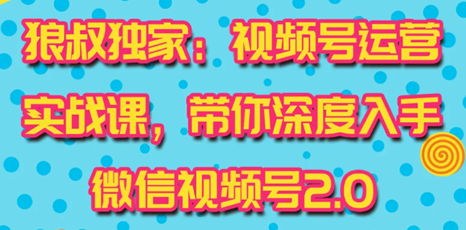 [短视频运营]（1521期）视频号运营实战课2.0，目前市面上最新最全玩法，快速吸粉吸金（10节视频）