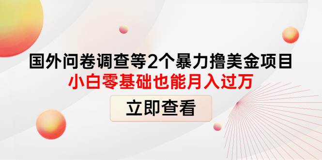 [国外项目]（4062期）国外问卷调查等2个暴力撸美金项目，小白零基础也能月入过万