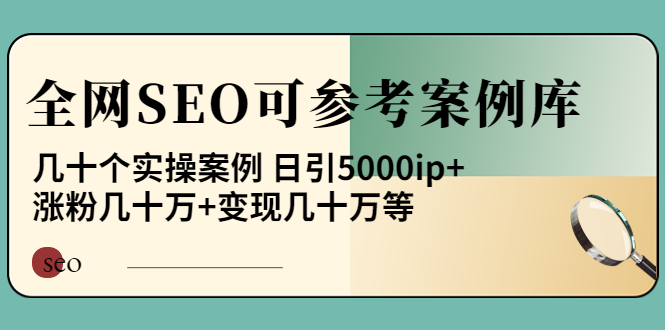 [引流-涨粉-软件]（3834期）《全网SEO可参考案例库》几十个实操案例 日引5000ip+涨粉百W+变现几十W等!