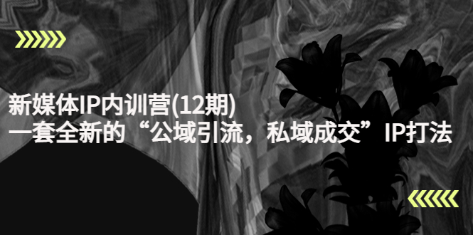 [新媒体]（4103期）新媒体IP内训营(12期)，一套全新的“公域引流，私域成交”IP打法，直接带走