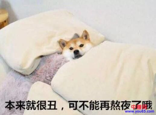 [大杂烩]好好赚钱，从认真睡觉开始！
