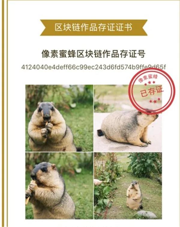[网赚项目]关于拍照赚钱的延伸盈利点