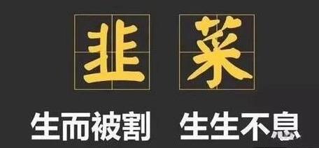 [创业资讯]选项目必须能赚钱，如何判断XX项目怎么样？