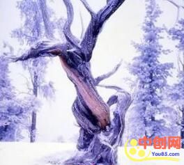 [创业资讯]假如现在我一无所有，我会选择这样赚钱翻身