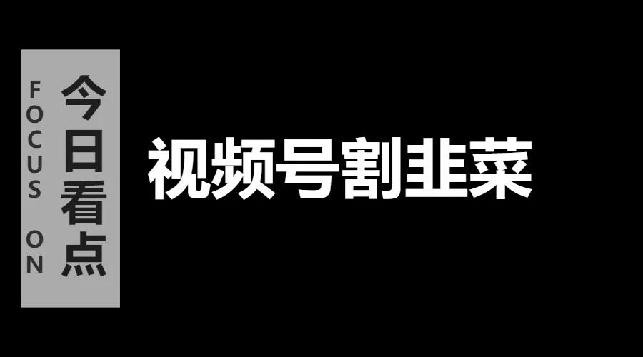 [创业资讯]抖音培训没落，视频号割韭菜兴起，所以要不要花钱去学？会不会已经晚了-第1张图片-智慧创业网