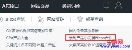 [网赚项目]小说漫画分销赚钱项目：月收入过万的操作思路