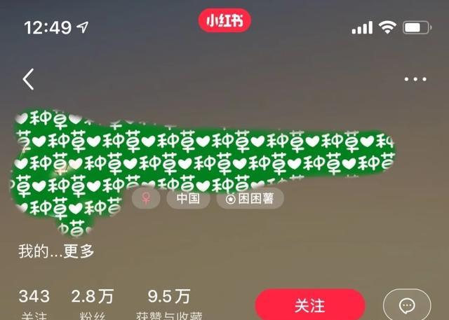 [网赚项目]如何玩小红书月入8000＋？手把手教你打造爆款笔记，快速吸粉＋吸金