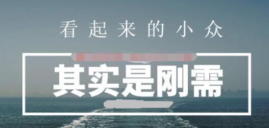 [网赚项目]小众持久的软件倒卖项目