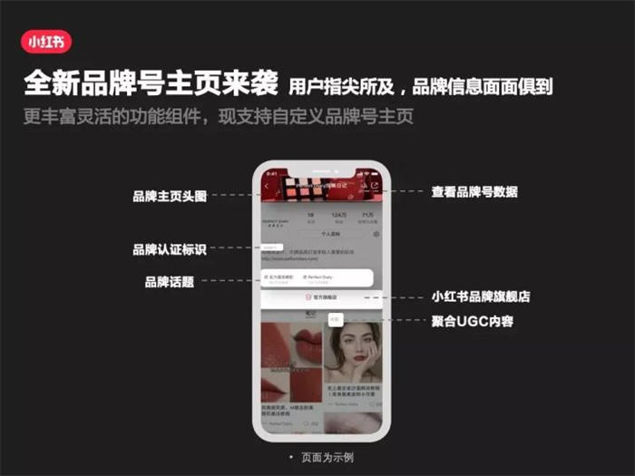 [创业资讯]快速涨粉变现的项目：小红书视频号