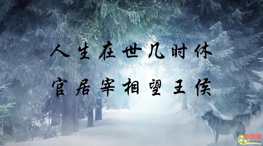[网赚项目]隐秘的金钱脉络：月赚几万的暴利项目总是难登大雅之堂-第1张图片-智慧创业网