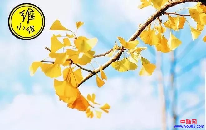 [网赚项目]当倒爷也能赚10万的3种兼职副业 副业早已成为一项刚需