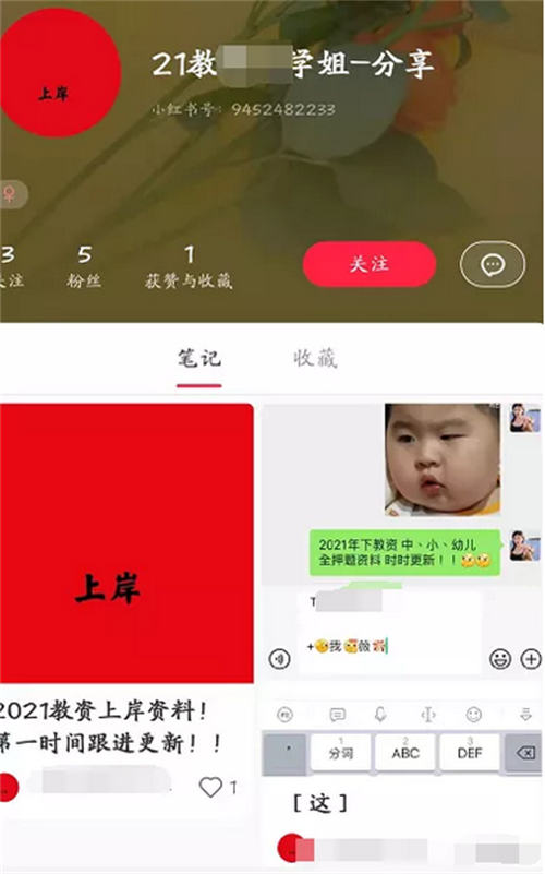 [创业资讯]小红书教资行业项目简介