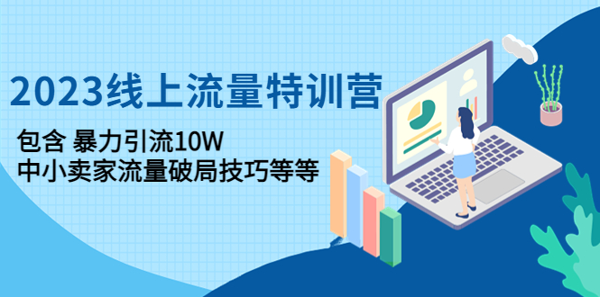 [国内电商]（4567期）2023线上流量特训营：包含暴力引流10W+中小卖家流量破局技巧等等
