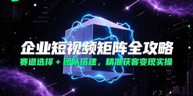 [短视频运营]（15242期）企业短视频矩阵全攻略，赛道选择+团队搭建，精准获客变现实操