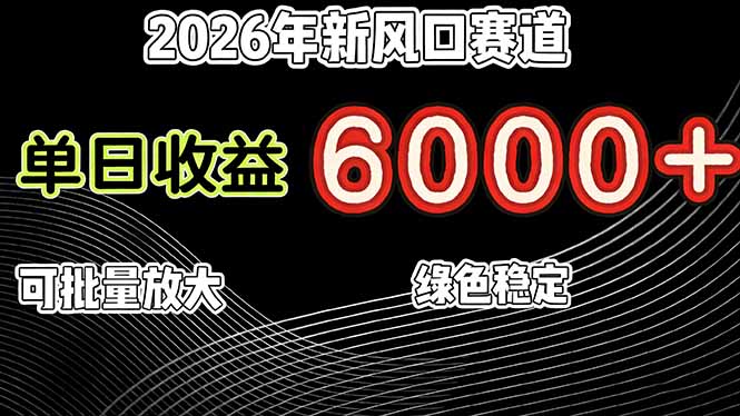 [虚拟项目]（17135期）2026年新风口赛道，当日6000+以上，可批量放大，月收入20万+，长期绿色稳定的项目-第1张图片-智慧创业网