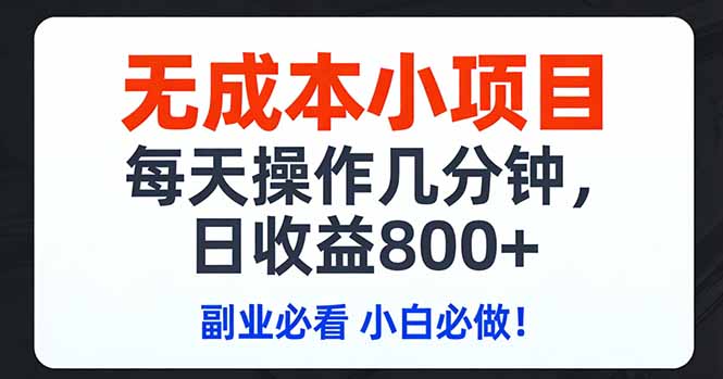 [虚拟项目]（17447期）无成本小项目,每天操作几分钟,日收益800+ 副业必看 小白必做！-第1张图片-智慧创业网