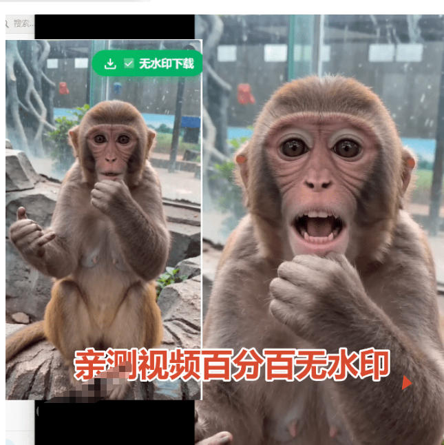 [其它资料]（19358期）豆包无水印下载终于来了！支持豆包图片/视频，目前唯一免费使用的插件，浏览器拓展-第3张图片-智慧创业网